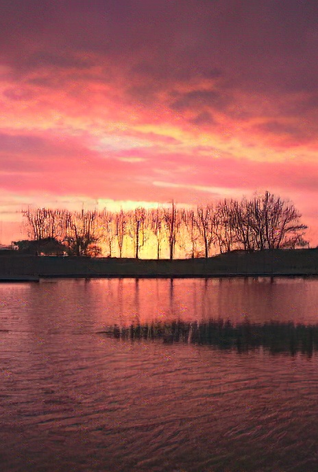 UK – East London – Wanstead Flats – Sunrise over the flooded Flats
