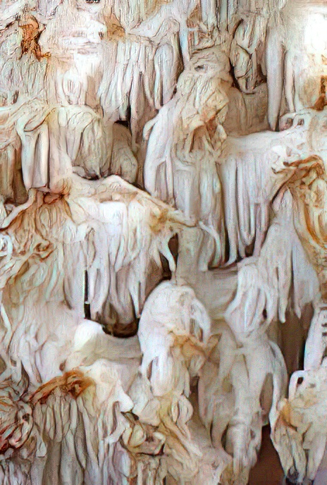 Coral Tooth