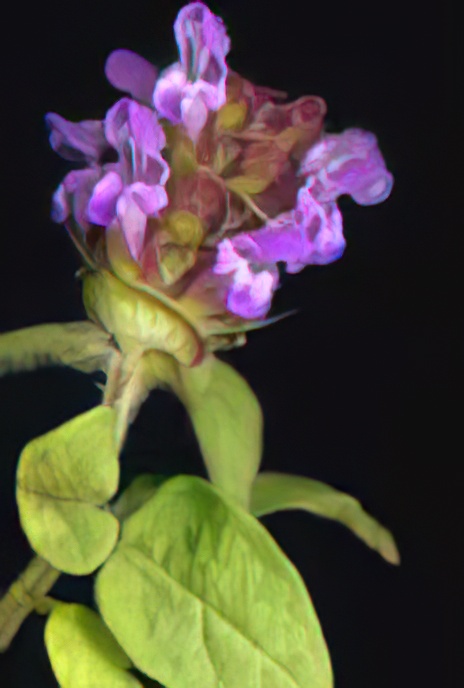 Selfheal