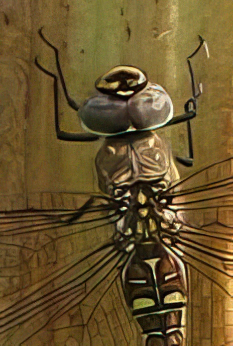 Migrant Hawker (female)