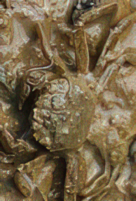 Shore Crab