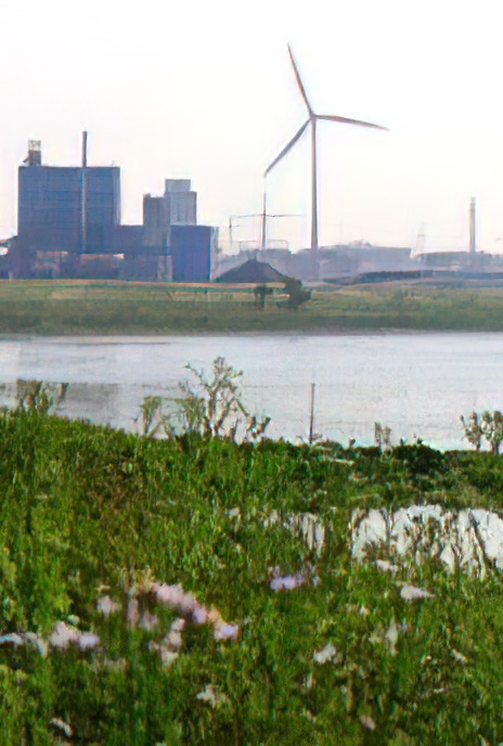 UK – East London – Ripple – Wind and Water