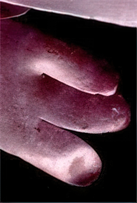 Dulse
