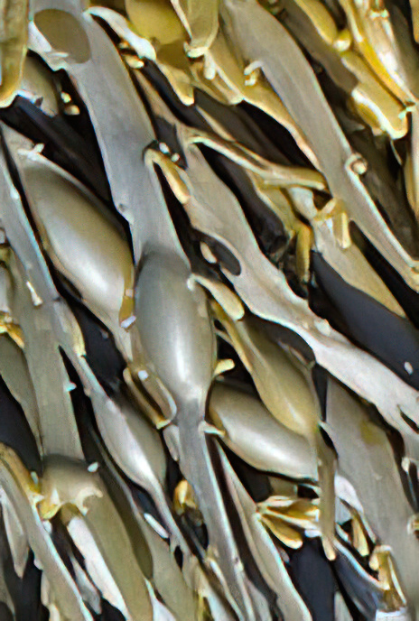 Egg Wrack